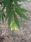IMG_6436.jpeg