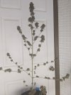PXL_20250730_050512610.jpg