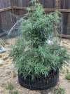 IMG_3330.jpeg