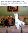 IMG_8839.jpeg