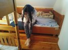 IMG_20250730_080233.jpg