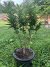 IMG_3430.jpeg
