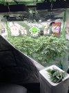 IMG_0866.jpeg