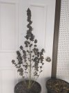 PXL_20250808_052036147.jpg
