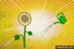 IMG_1468.gif