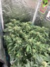 IMG_0887.jpeg