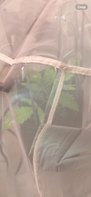 IMG_0914.png