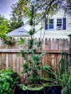 IMG_20250810_184254899_HDR~2.jpg