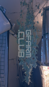1755081229017.png