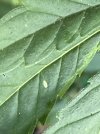 IMG_3027.jpeg