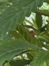 IMG_3030.jpeg