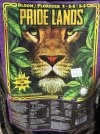 IMG_3383.jpeg