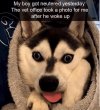 IMG_8877.jpeg
