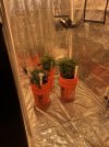 IMG_0428.jpeg