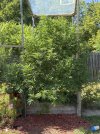 IMG_3098.jpeg