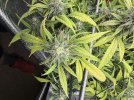 IMG_6282.jpeg