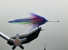 IMG_3460.jpeg