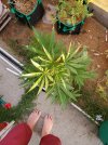20250823_185158.jpg