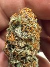 IMG_0659.jpeg