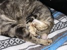 IMG_3405.jpeg