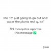 1756322623545.jpeg