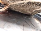 .trashed-1758929723-IMG_20250822_205011.jpg