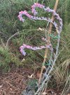 IMG_3413.jpeg