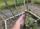 IMG_0932.jpeg