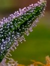 20250825_003429.jpg