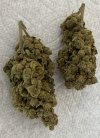 IMG_3385.jpeg
