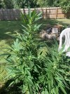 IMG_3500.jpeg