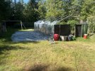 IMG_0933.jpeg