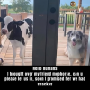 1756668303123.png