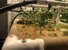 IMG_3368.jpeg