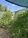 IMG_1939.jpeg