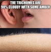 1756829317256.png
