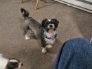 IMG_20180904_185220868~2.jpg