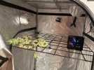 IMG_6367.jpeg