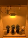 IMG_0230.jpeg