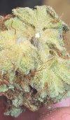 20250908_105817.jpg