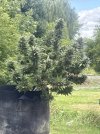 IMG_0824.jpeg