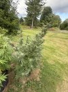 IMG_0820.jpeg