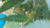 20250909_083859.jpg