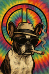 9F44FD43-93C8-4C53-9813-7061BB1F19AC.png