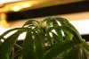 m3 061.jpg
