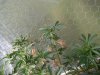 SDC10040.jpg