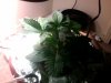 Photo 144.jpg
