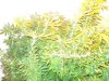 DSC02762.jpg