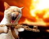 mare_machine_gun_cat1.jpg