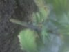 growth.jpg